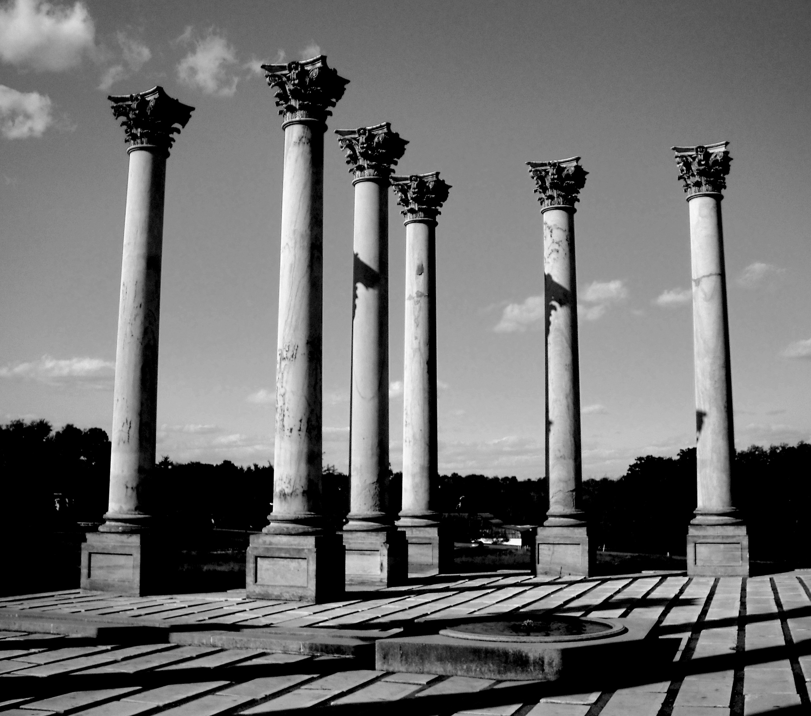 Classical stone columns in monochrome shadow, anonymous institutional architecture